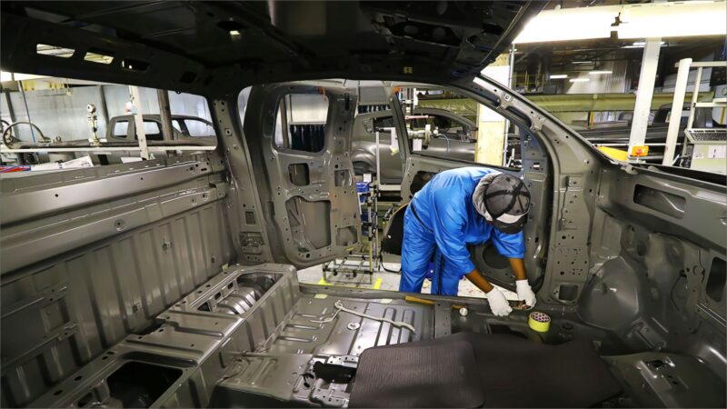 The drive to survive